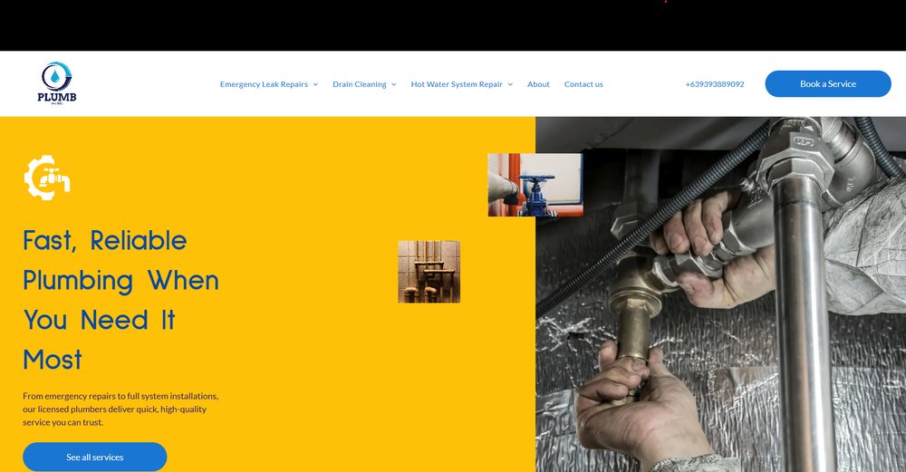 Plumbmaster — Plumbing services