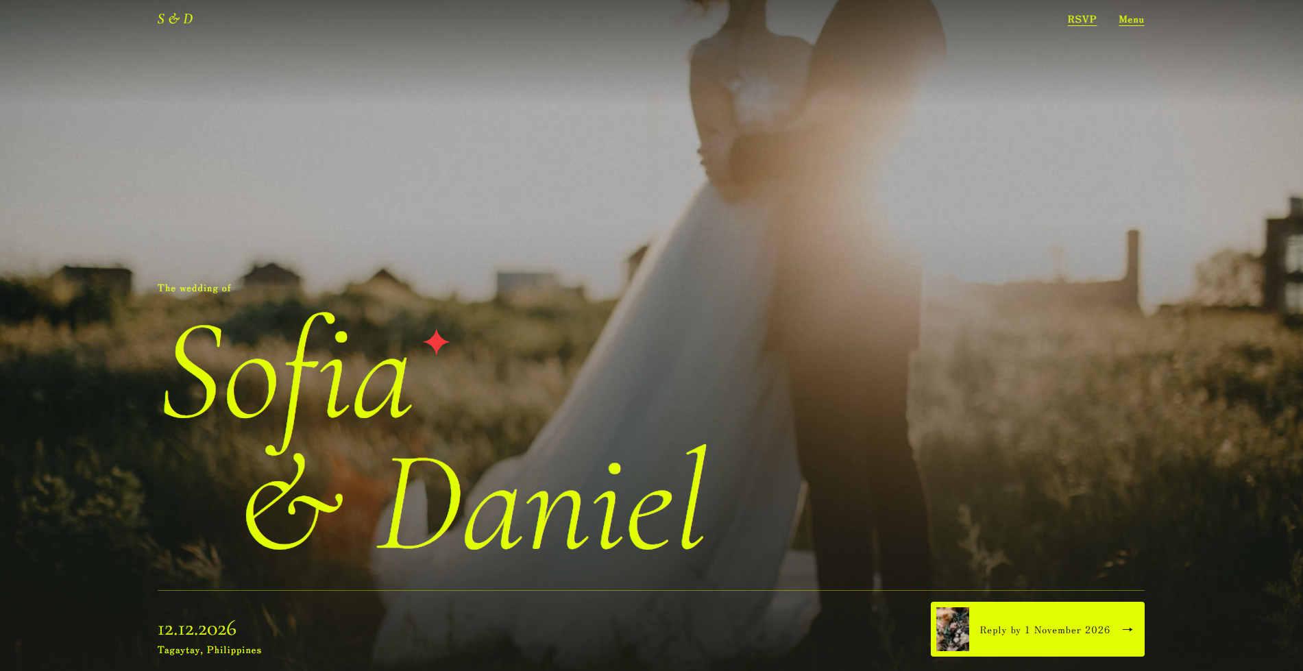 Sofia and Daniel wedding website with the couple in a sunlit field and a Reply by 1 November 2026 RSVP button